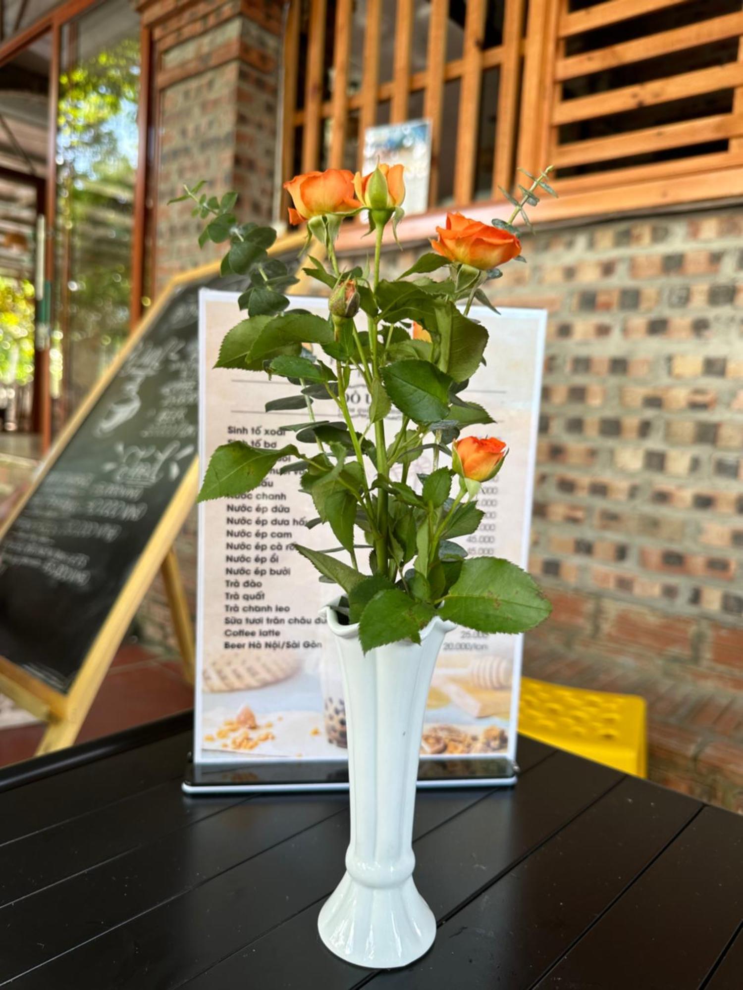 Ninh Binh Friendly Homestay Exterior foto